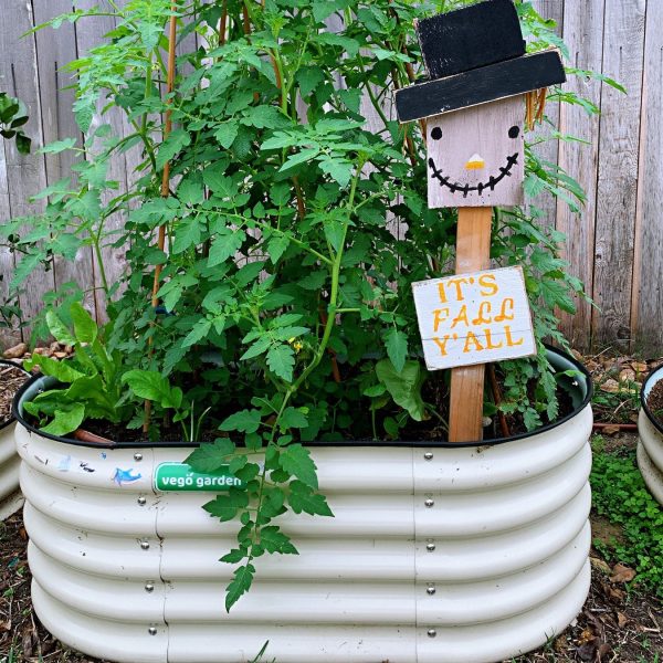 17" Tall Kids First Garden Bed 42" x 24" - Image 6