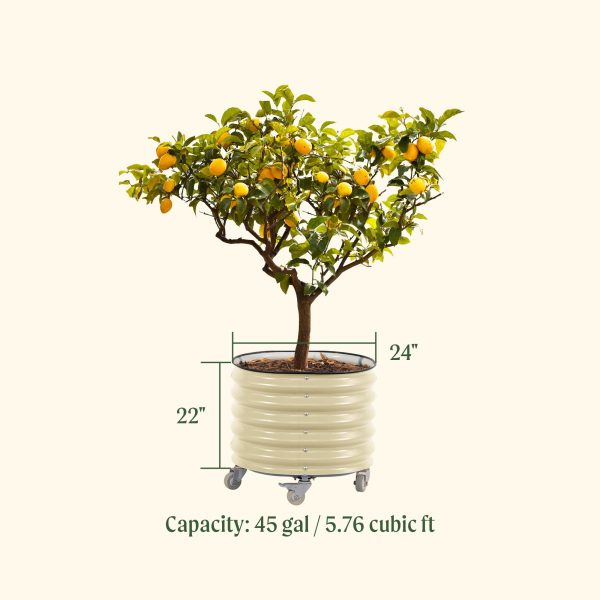 Self-watering Rolling Citrus Tree Planter - Image 12