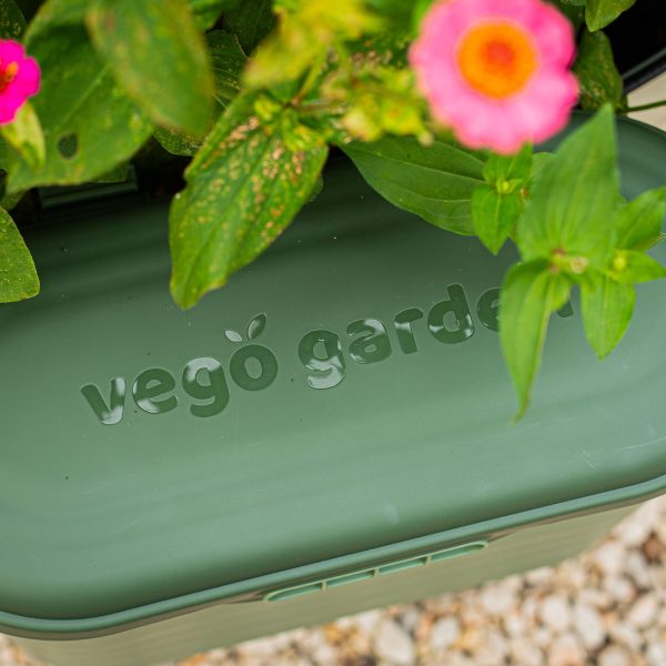 Garden Tool Box - Image 8