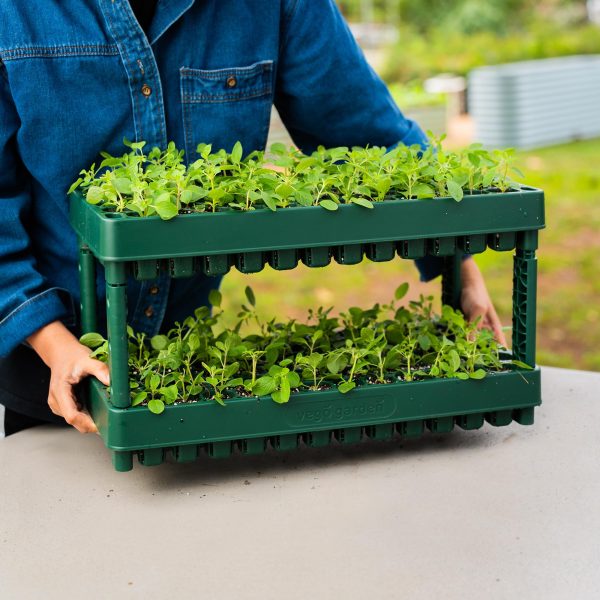 10" x 20" Stackable Seedling Tray - Image 11
