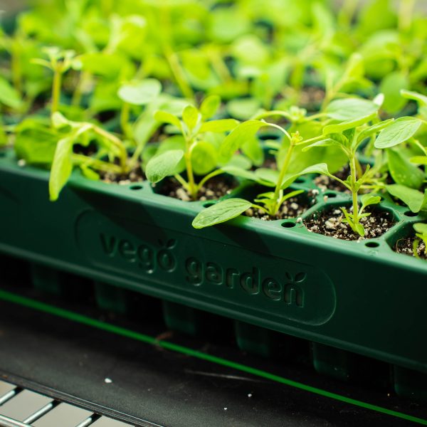 10" x 20" Stackable Seedling Tray - Image 14