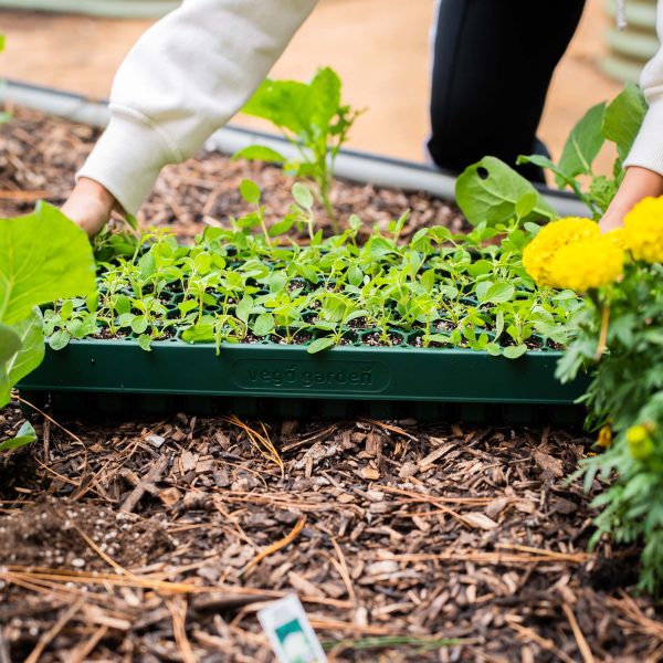 10" x 20" Stackable Seedling Tray - Image 16