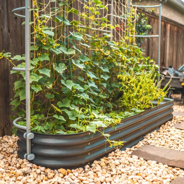 Wall Trellis System - Image 7