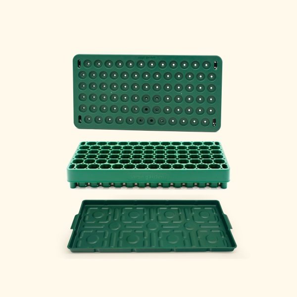 Plant 'n' Pop Seed Bundle - Image 2