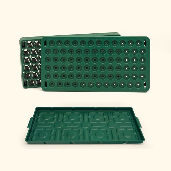 Plant 'n' Pop Seed Bundle