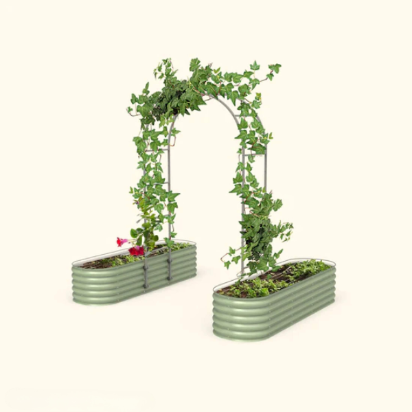 Arched Trellis 2.0' x 6.5' Bundle (2 Garden Beds + Trellis)