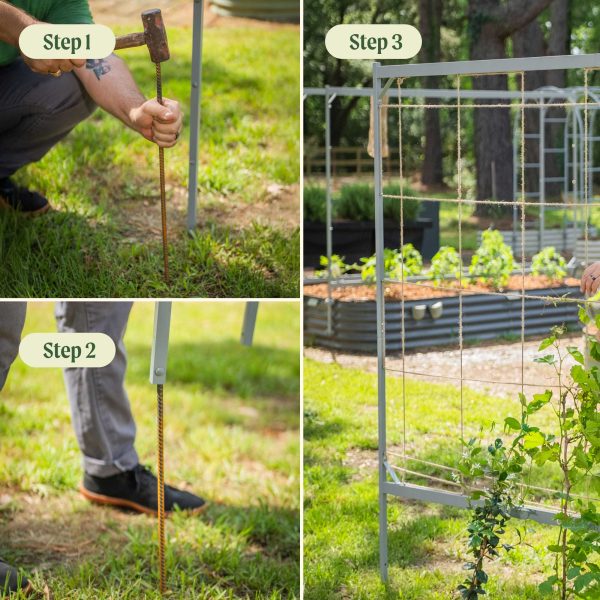 Metal Frame String Trellis - Image 9