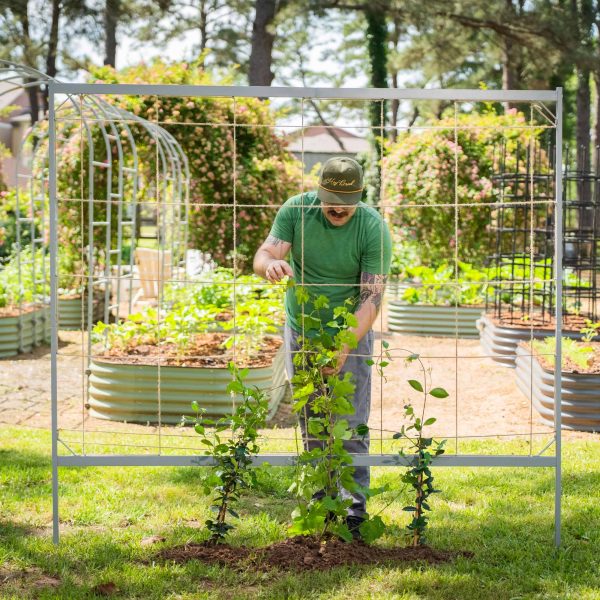 Metal Frame String Trellis - Image 11