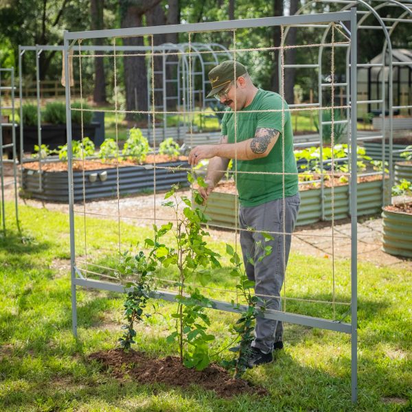 Metal Frame String Trellis - Image 10