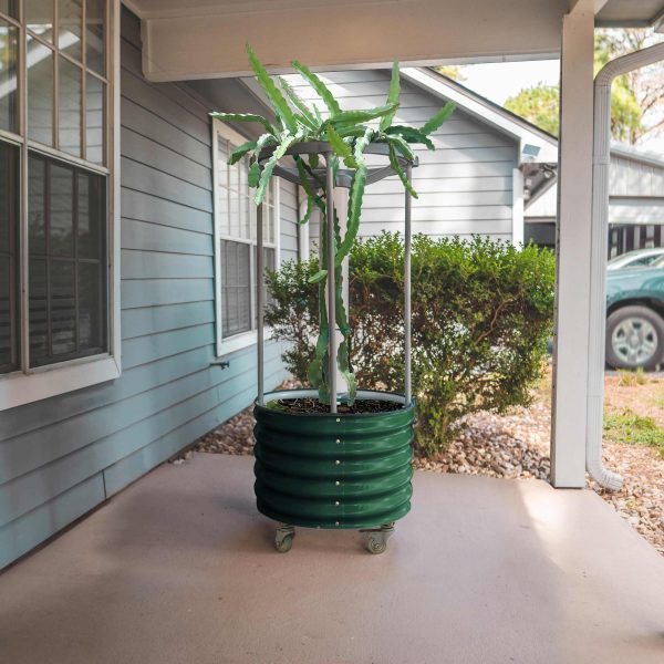 Dragon Fruit Self-Watering Rolling Planter - Image 8