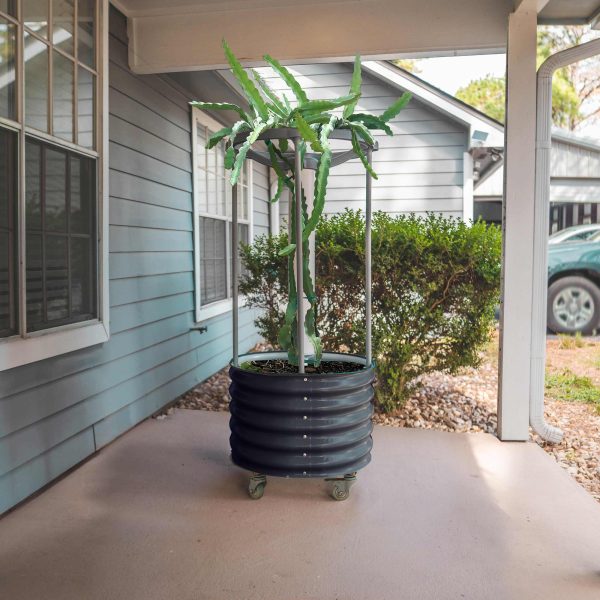 Dragon Fruit Self-Watering Rolling Planter - Image 7