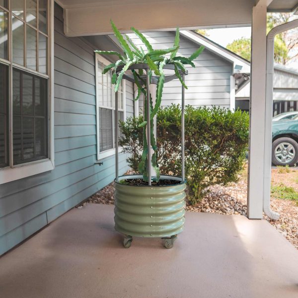 Dragon Fruit Self-Watering Rolling Planter - Image 6