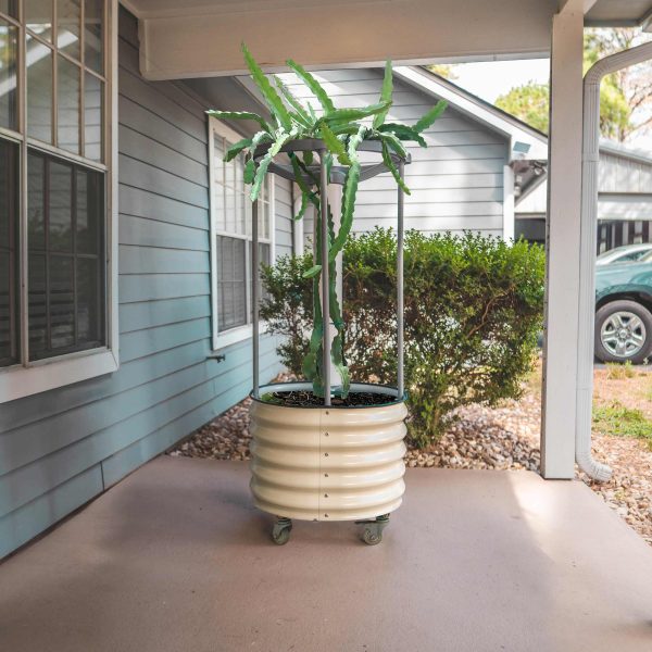 Dragon Fruit Self-Watering Rolling Planter - Image 5