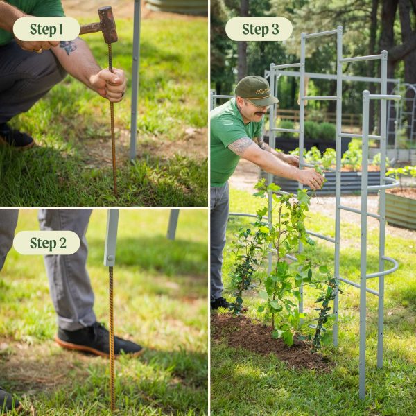 Wall Trellis System - Image 16