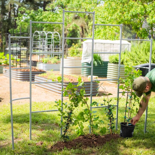 Wall Trellis System - Image 14