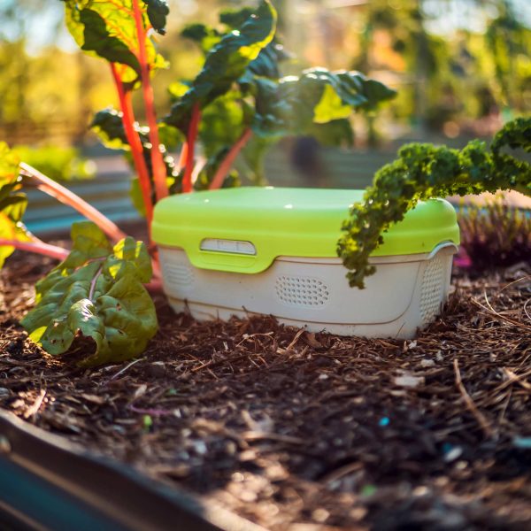 In-Bed Worm Composter - Image 7