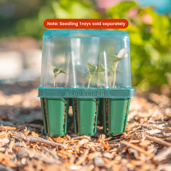 Seedling Tray Lids with Drip Irrigation - Image 3