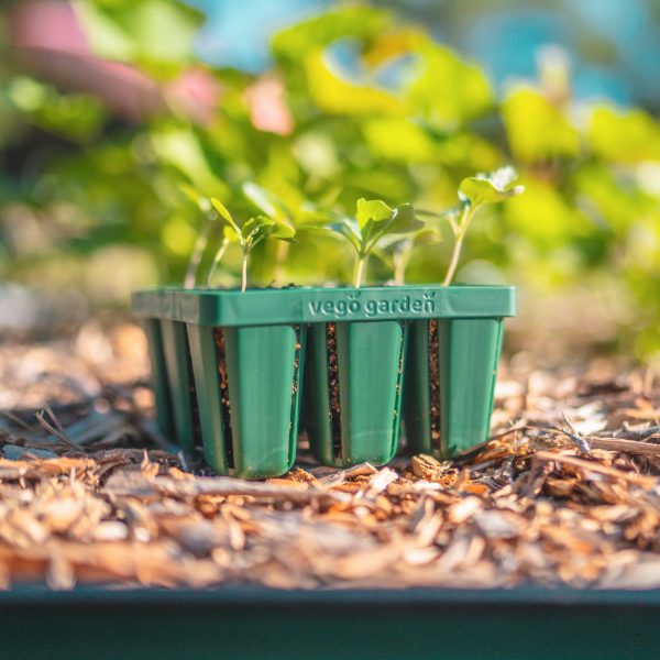 Standard Seedling Trays - Image 6