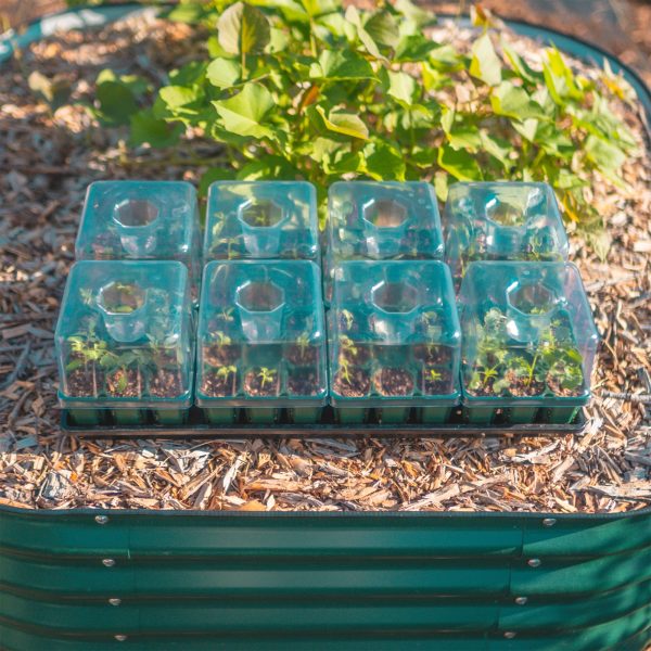 Seedling Tray Lids with Drip Irrigation - Image 4