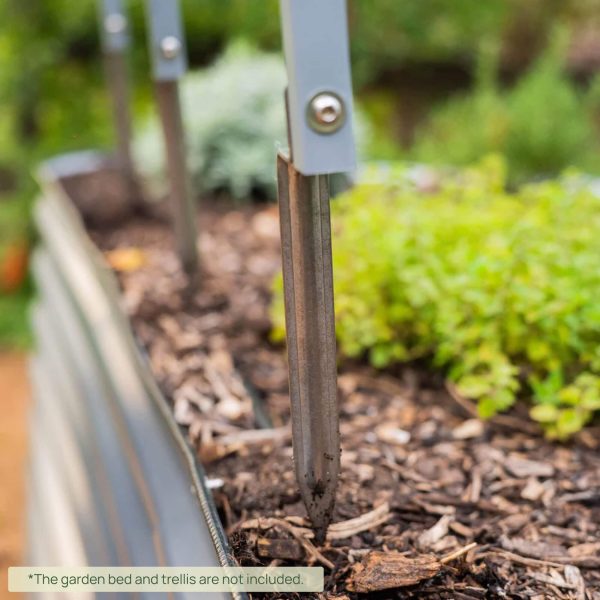 Vego Trellis Anchors - Image 2
