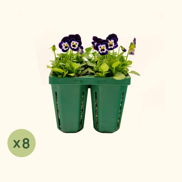 Jumbo Seedling Trays - Image 12