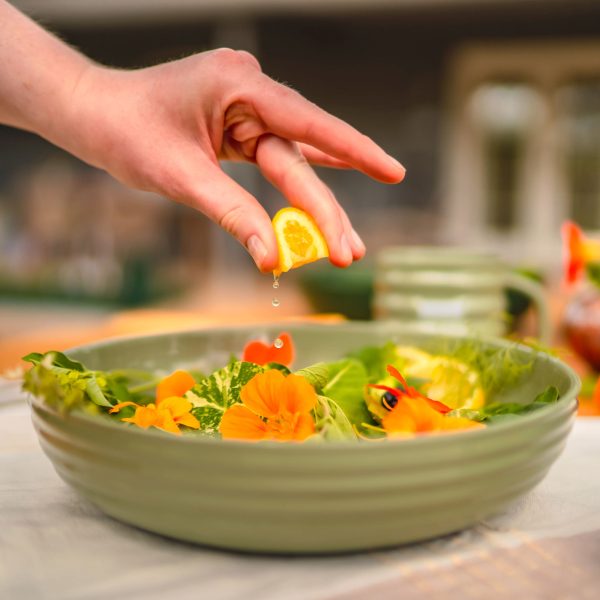 Vego Salad Serving Bowl - 2 Pack - Image 2