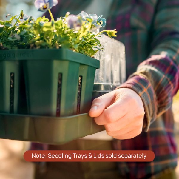Bottom Watering Trays - Image 8