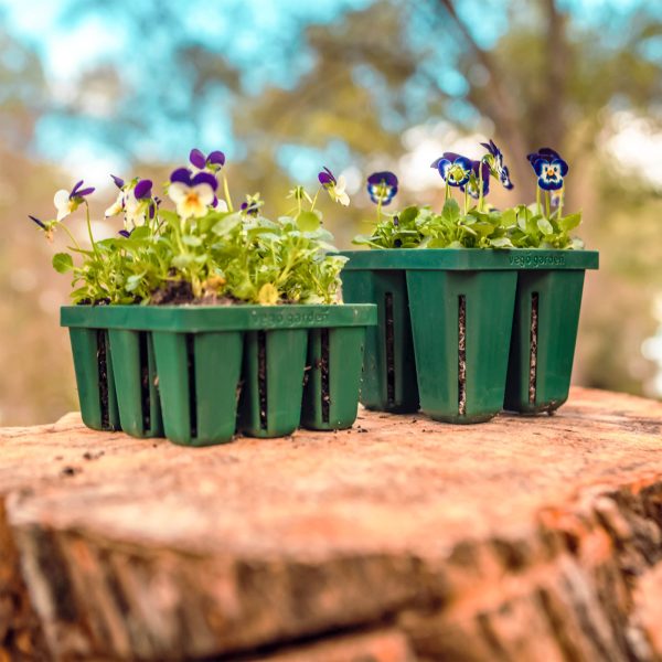 Seed Starting Bundle - 10 in. x 10 in. - Image 3