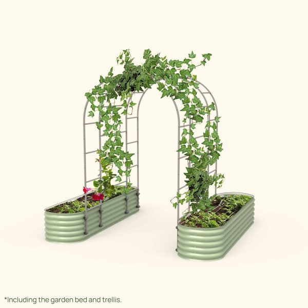 Arched Trellis 2.0' x 8.0' Bundle (2 Garden Beds + Trellis)