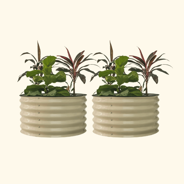 17" Tall Berry Garden Bed 30" Wide - Twin Pack - Image 3