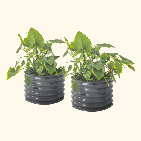 17" Tall Herb Garden Bed 24" Wide - Twin Pack - Image 8