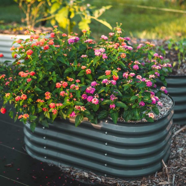 17" Tall Kids First Garden Bed 42" x 24" - Image 3