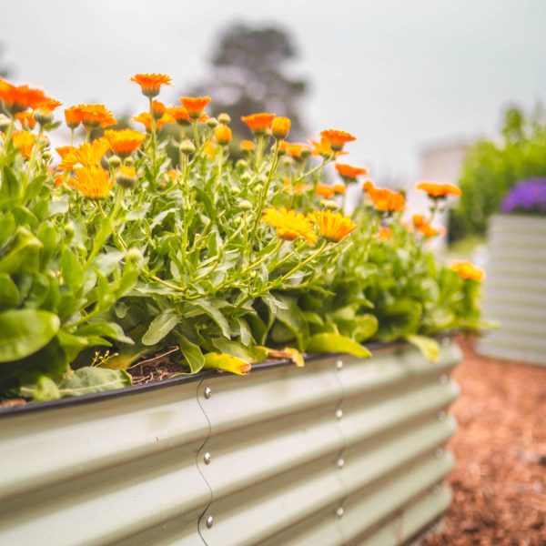 17" Tall 4 In 1 Small Modular Metal Raised Garden Bed Kit - Image 22