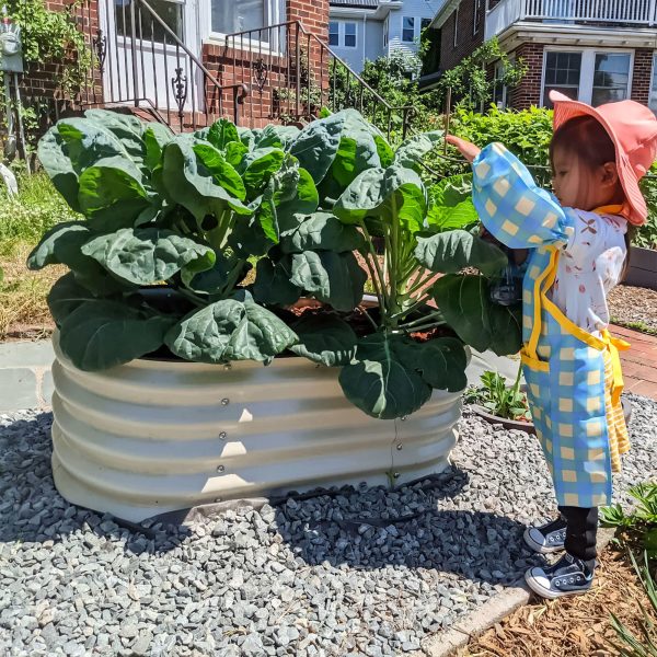 17" Tall Kids First Garden Bed 42" x 24" - Image 4