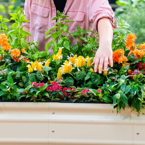 32" Tall 6 In 1 Medium Novel Modular Metal Raised Garden Bed Kit - Image 5