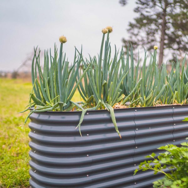 32" Extra Tall 6 In 1 Medium Modular Metal Raised Garden Bed Kit - Image 2