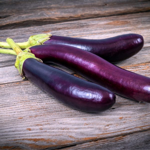 Asian Delite Eggplant Seedling - Image 6