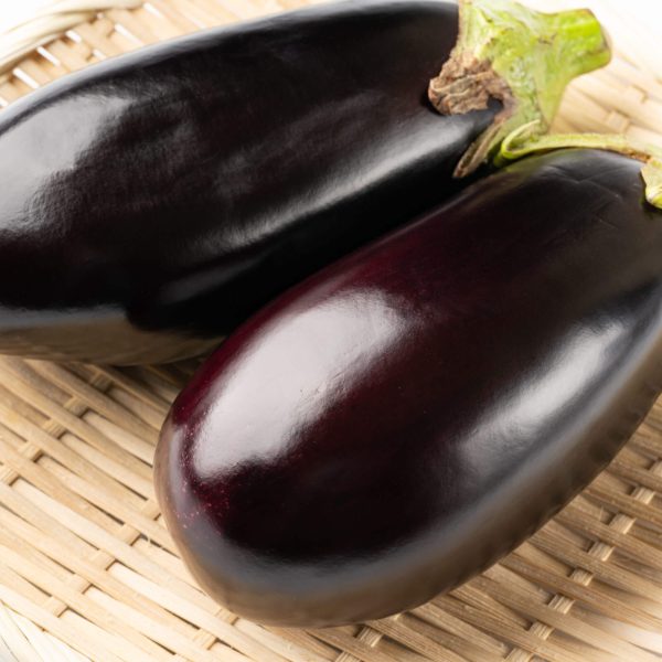 Black Beauty Eggplant Seedling - Image 5