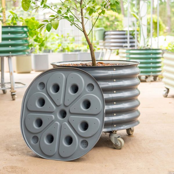 Self-watering Rolling Citrus Tree Planter - Image 6