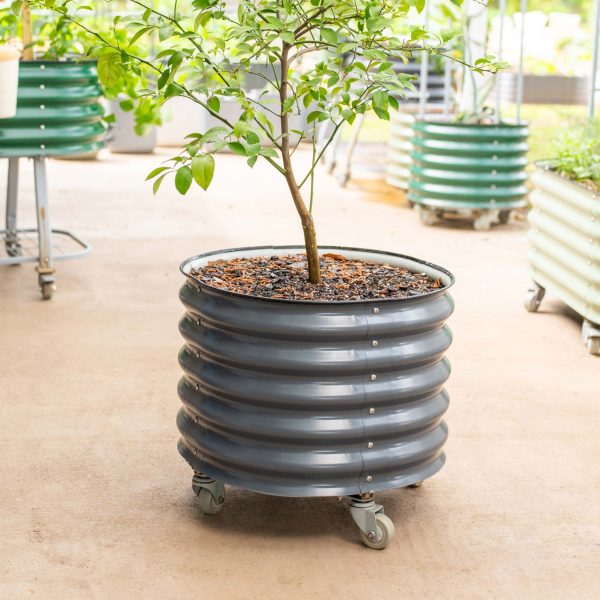Self-watering Rolling Citrus Tree Planter - Image 8