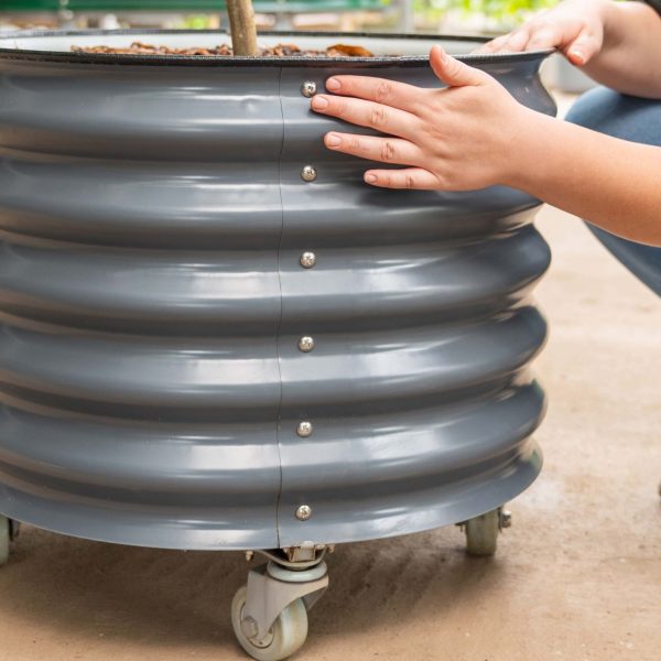 Self-watering Rolling Citrus Tree Planter - Image 9