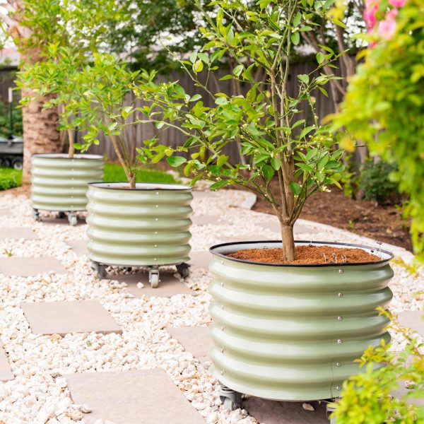 Self-watering Rolling Citrus Tree Planter - Image 7