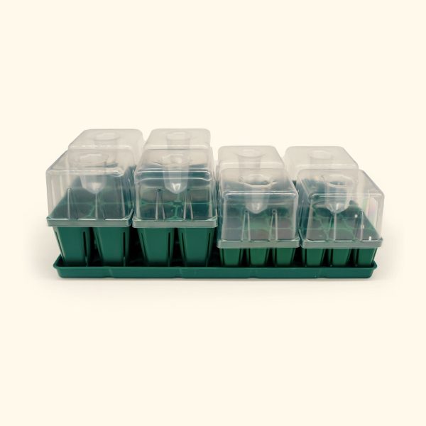 Seed Starting Bundle with Lid - 10 in. x 20 in. - Image 7