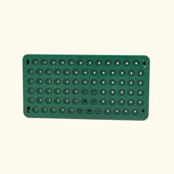 3-In-1 Plant 'n' Pop Board - 10" x 20"
