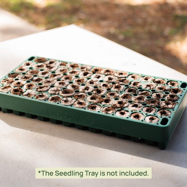 3-In-1 Plant 'n' Pop Board - 10" x 20" - Image 7