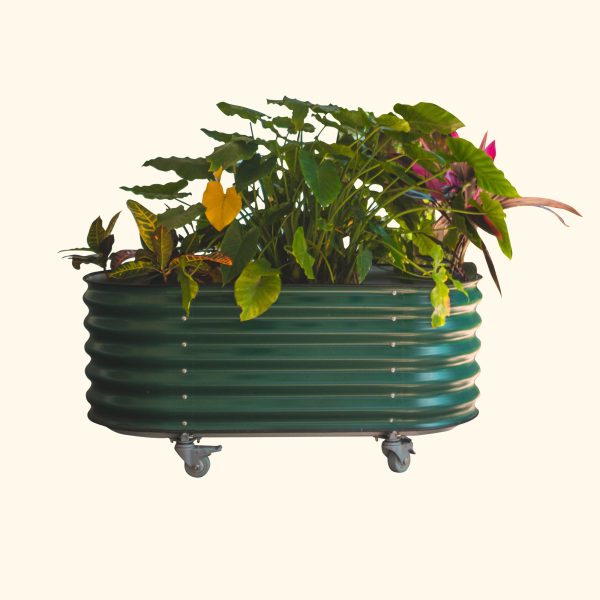 Self Watering Rolling Garden Bed - Image 3
