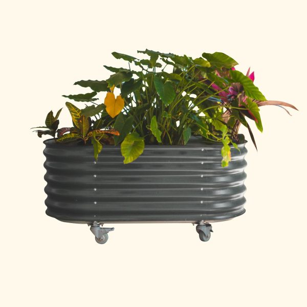 Self Watering Rolling Garden Bed - Image 4