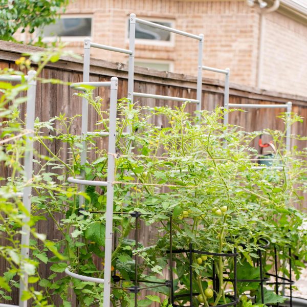 Wall Trellis System - Image 5