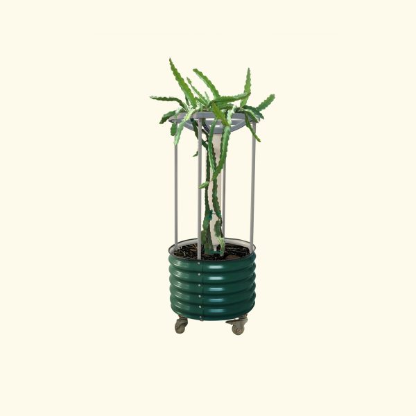 Dragon Fruit Self-Watering Rolling Planter - Image 4