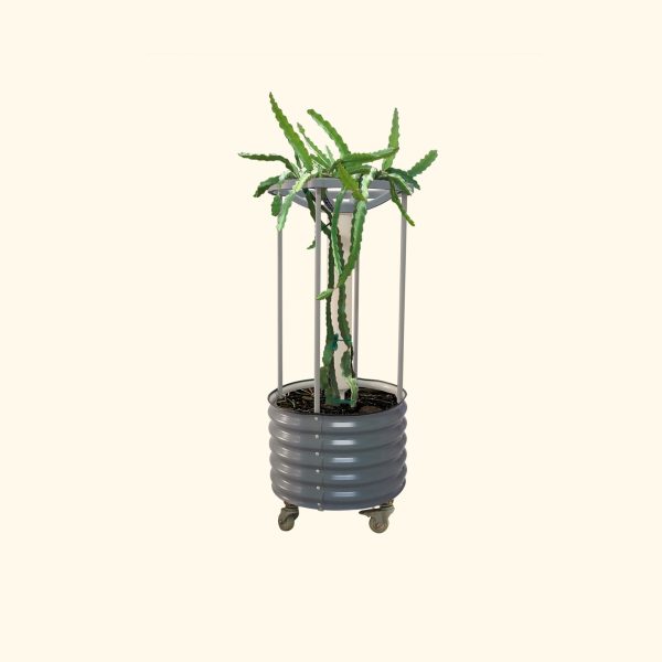 Dragon Fruit Self-Watering Rolling Planter - Image 3